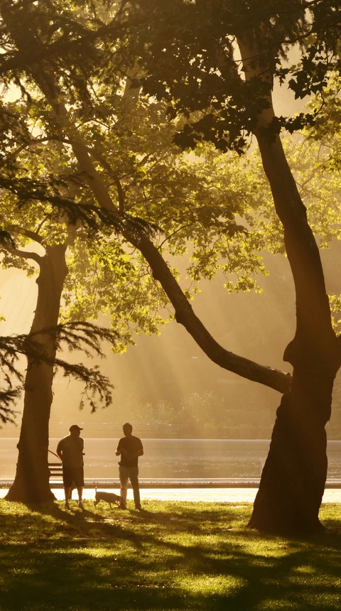 Jeden velký obrázek